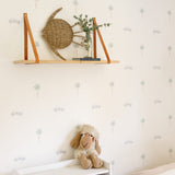 Pez de Pared