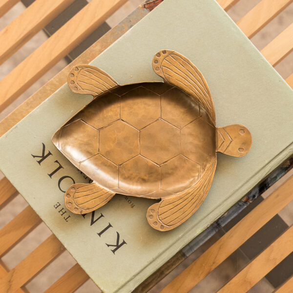 Bandeja Tortuga