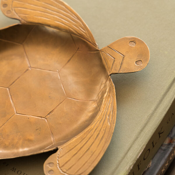 Bandeja Tortuga