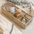 Cesta Ofelia