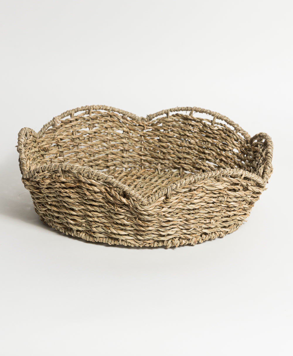 Cesta Tulipán