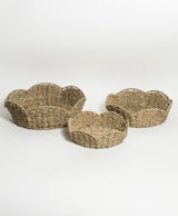 Cesta Tulipán
