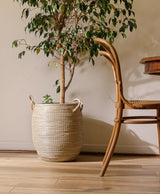 Cesta Asas