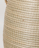 Cesta Asas