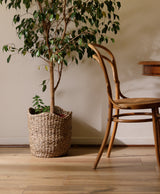 Cesta Ondas