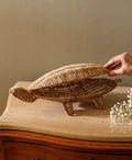 Tortuga Conchita