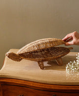 Tortuga Conchita