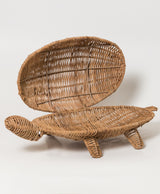 Tortuga Conchita