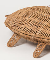 Tortuga Conchita