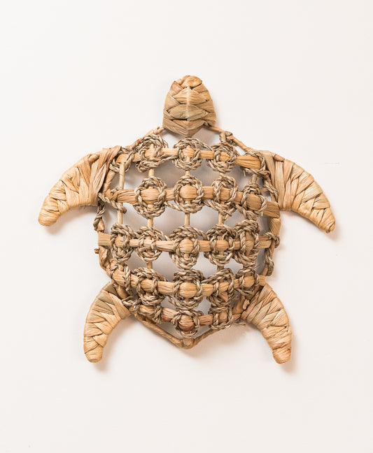 Tortuga Muro