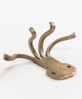 Percha Pulpo
