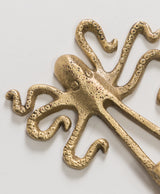 Percha Pulpo II