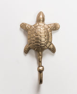 Percha Tortoise
