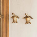 Percha Tortuga