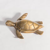 Percha Tortuga