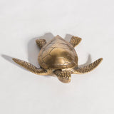Percha Tortuga