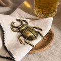 Abridor Spider