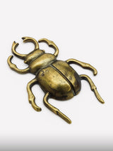 Abridor Spider